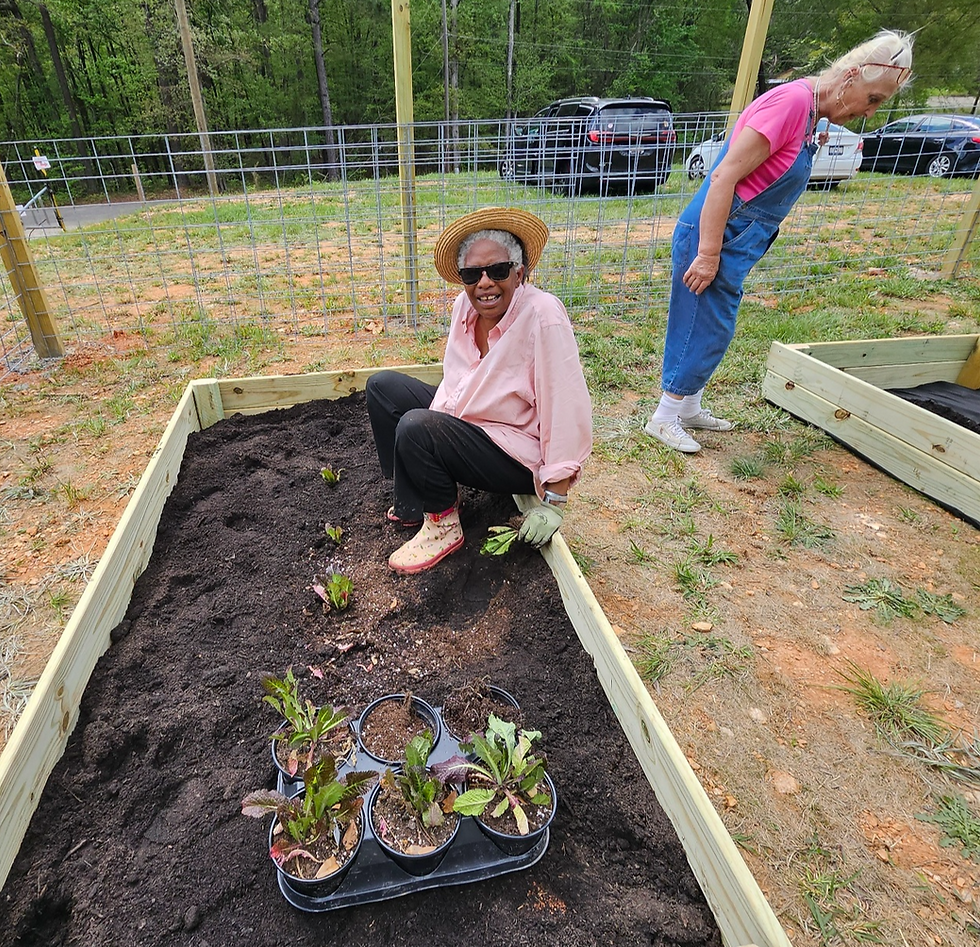 Volunteer Days at the GROW Farm