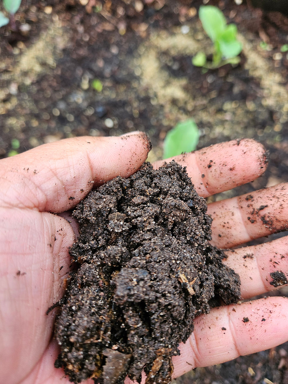 Composting Workshop