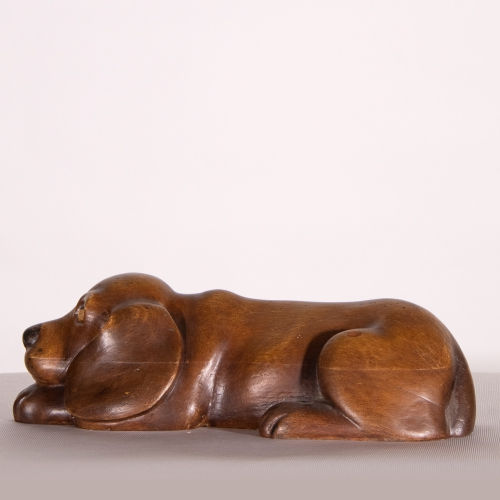 Miniatura: Perro orejas tumbado