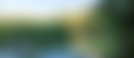 V Concurso Fotográfico Laguna Fuente del Rey