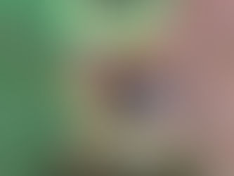 Curso de iniciación a la ornitología