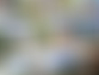 Un legado que une a Dos Hermanas