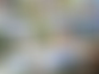 Un legado que une a Dos Hermanas