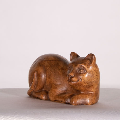 Miniatura: Gato malo