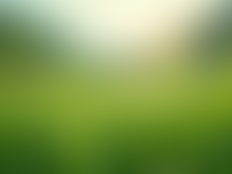 Eco-Friendly Land Development Solutions in Florida