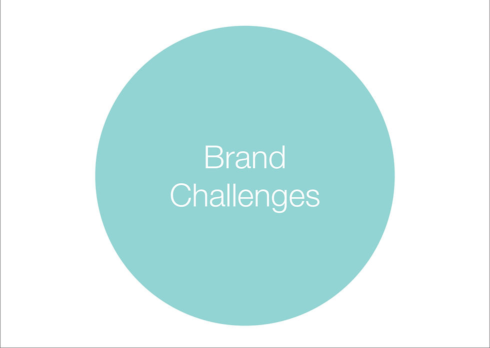 brand challenges-01