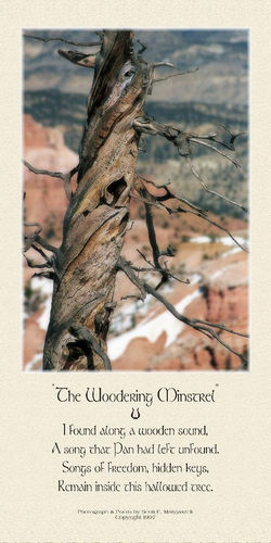 The Woodering Minstrel