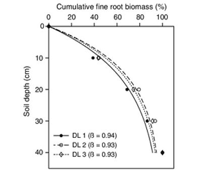 fine-roots-depth.jpg