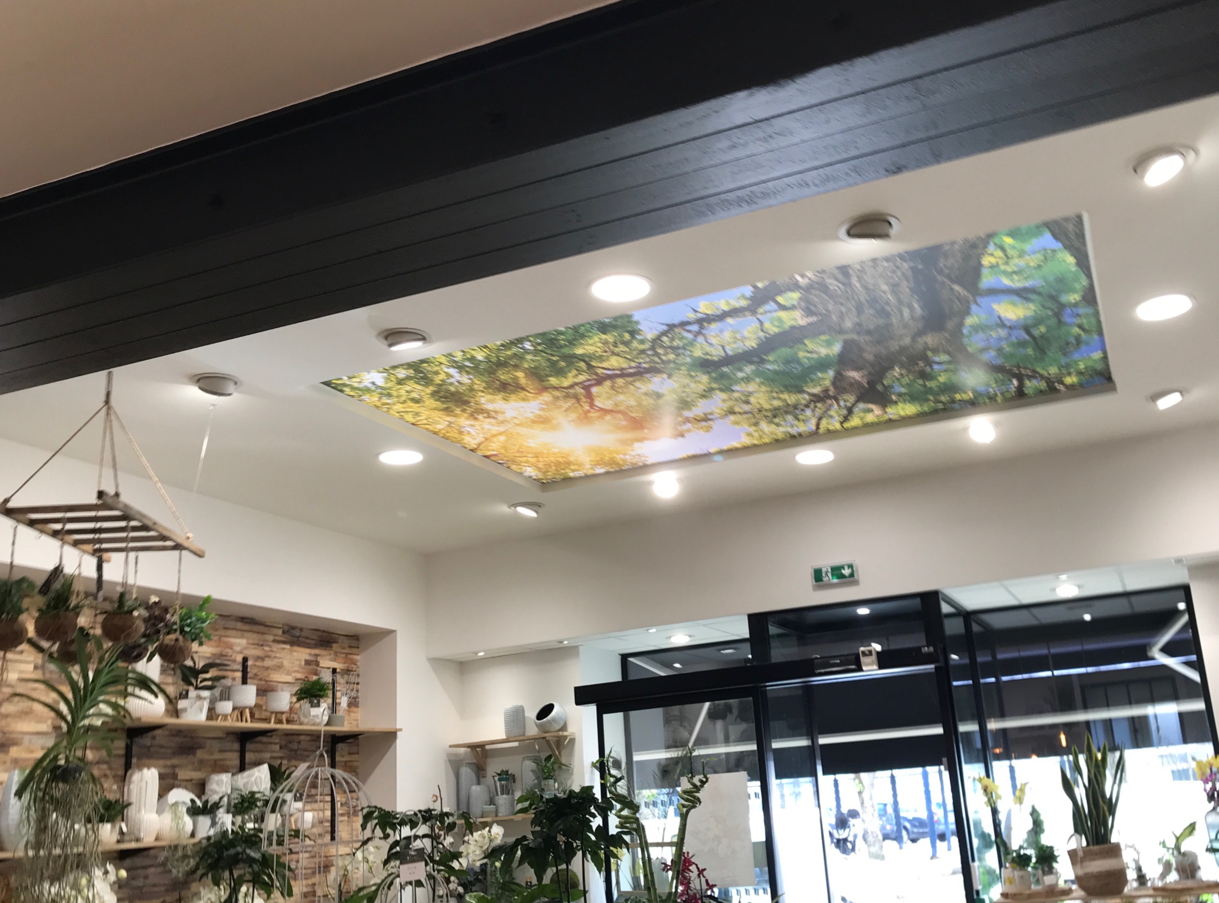 Plafond Tendu boutique