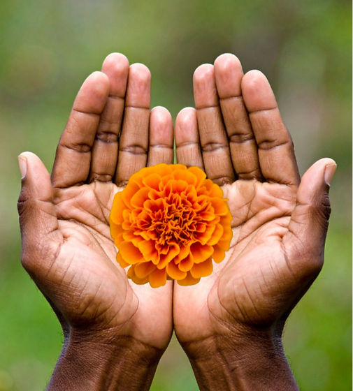 Untitled design (9)_edited.jpg