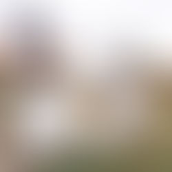 ND's small food producers suddenly lose guidance to add customers