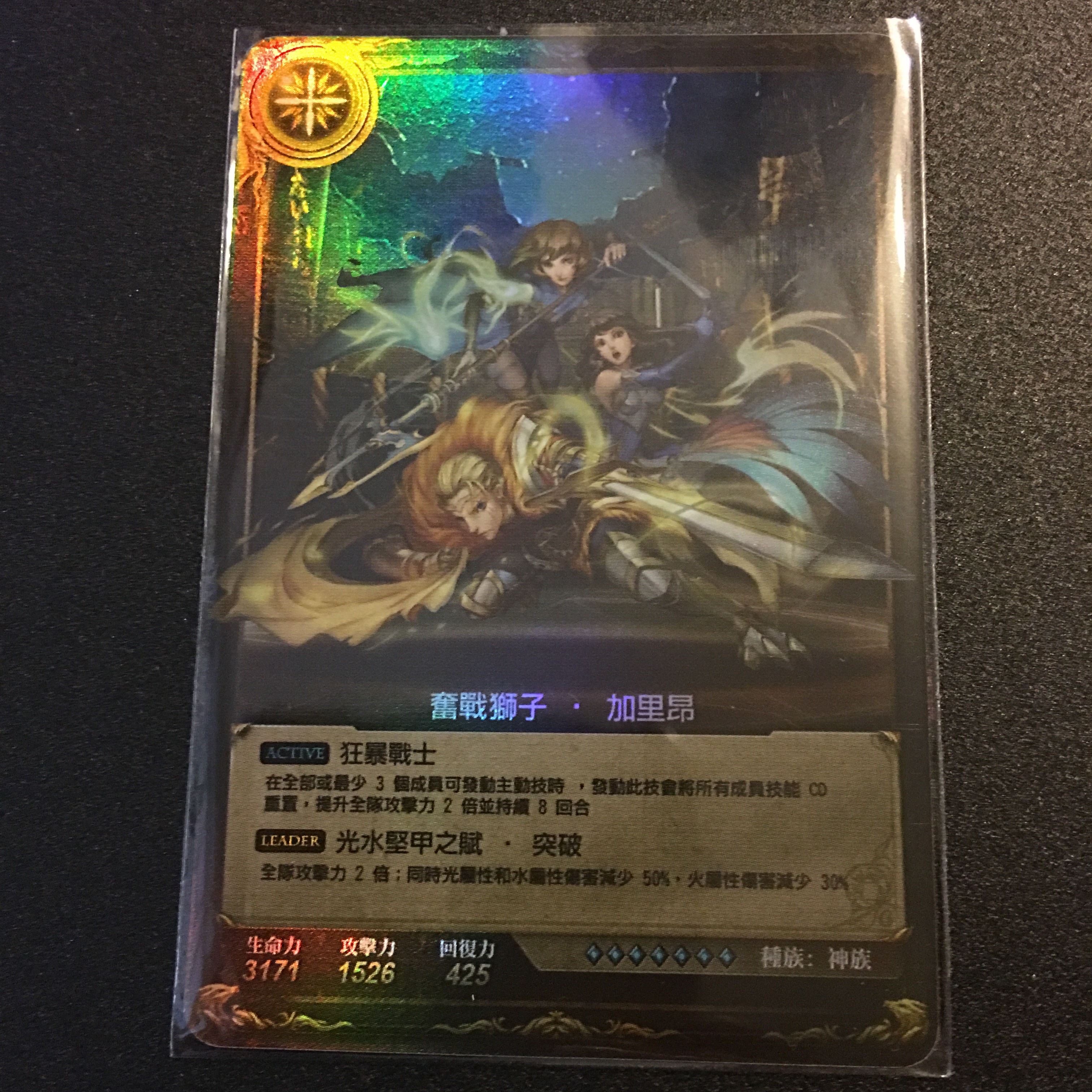 奮戰獅子 ‧ 加里昂