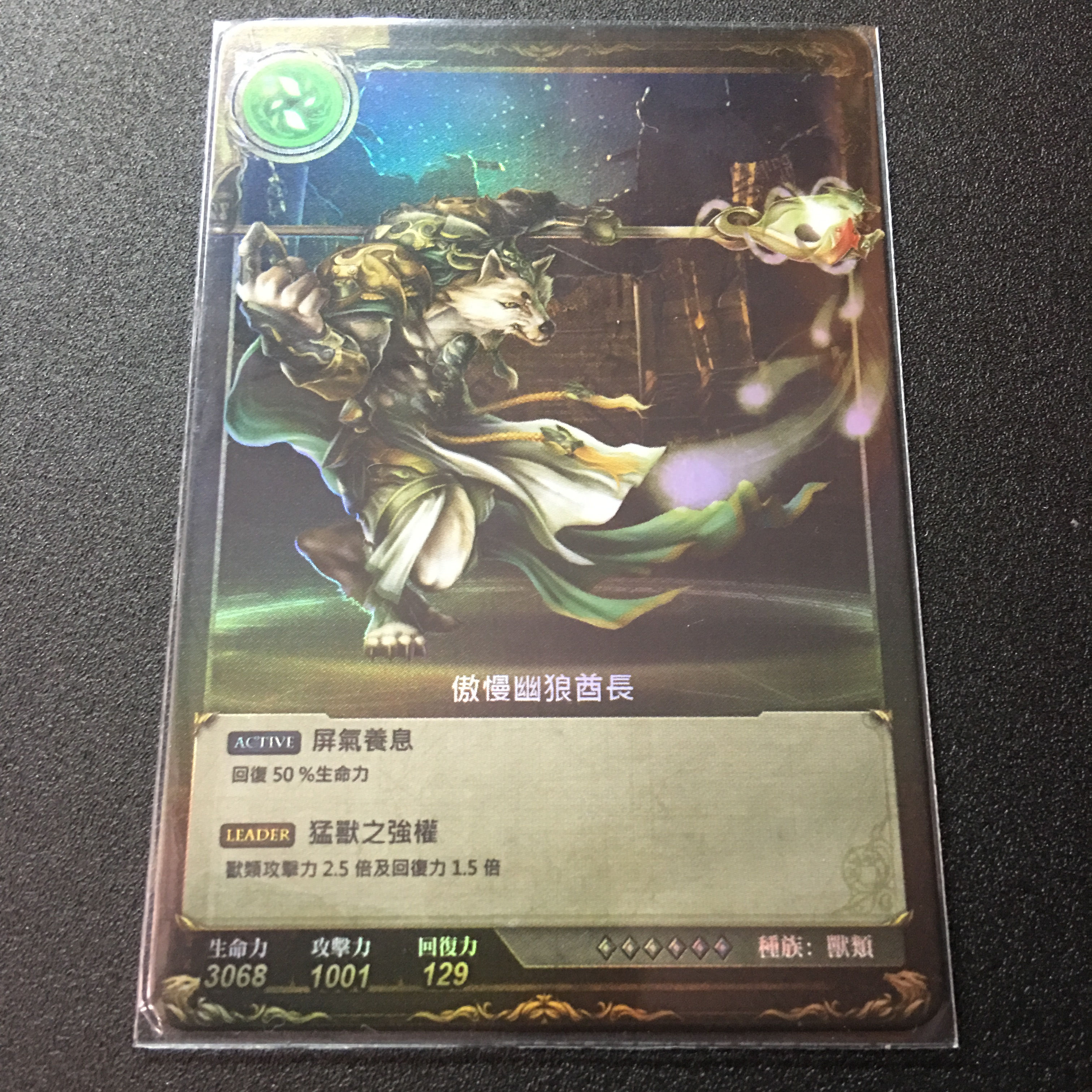 傲慢幽狼酋長