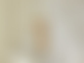 Welke raambekleding kies je bij een draaikiepraam?