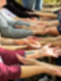 several hands outstretched