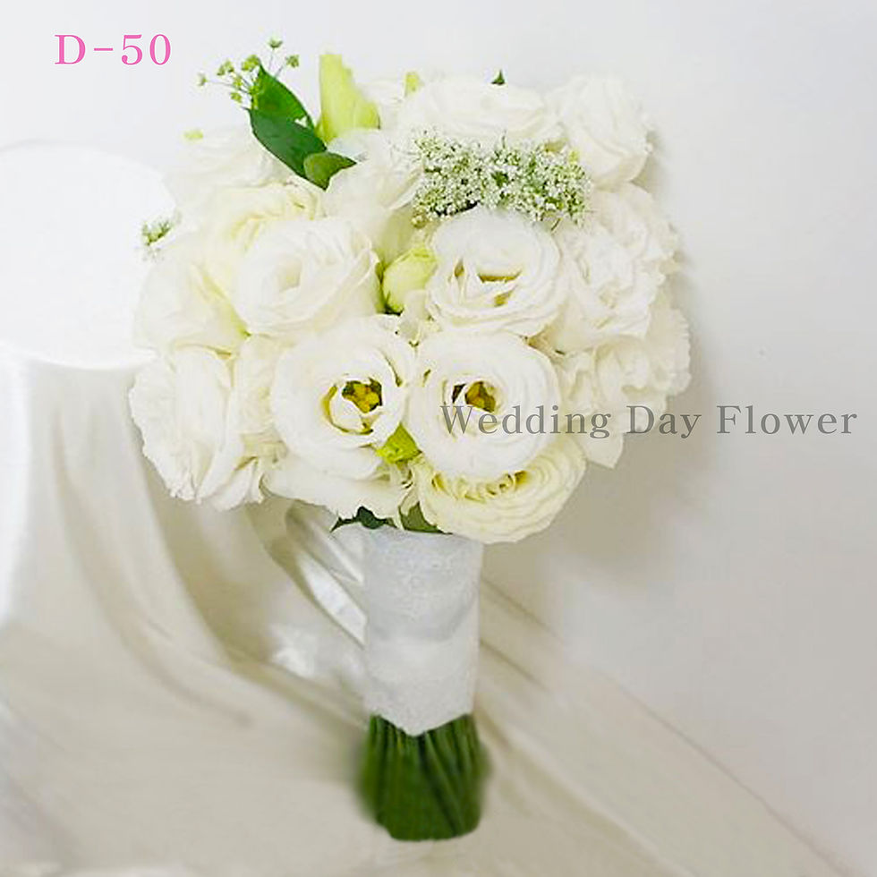 섬네일: D-50