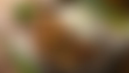 Mississippi Food Culture Spotlight: Philippines: Chicken Adobo