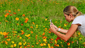 Hop to Ridgeland for Springtime Fun