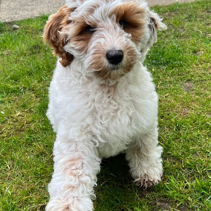 e7f87d4b-eea8-4e7d-8305-92544beebdcc (1).jpg