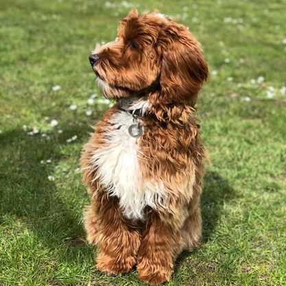 PHOTO-2021-04-08-14-12-14 3.jpg