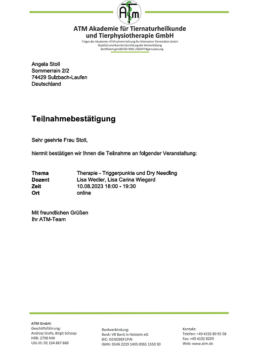 Bild Dry Needling.png