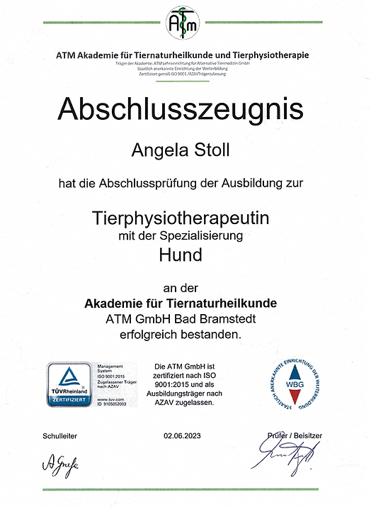 Bild Physio Hund.png