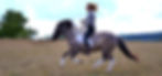 DSC_0016_edited.jpg