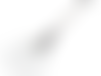 草刈り、枝木の伐採！