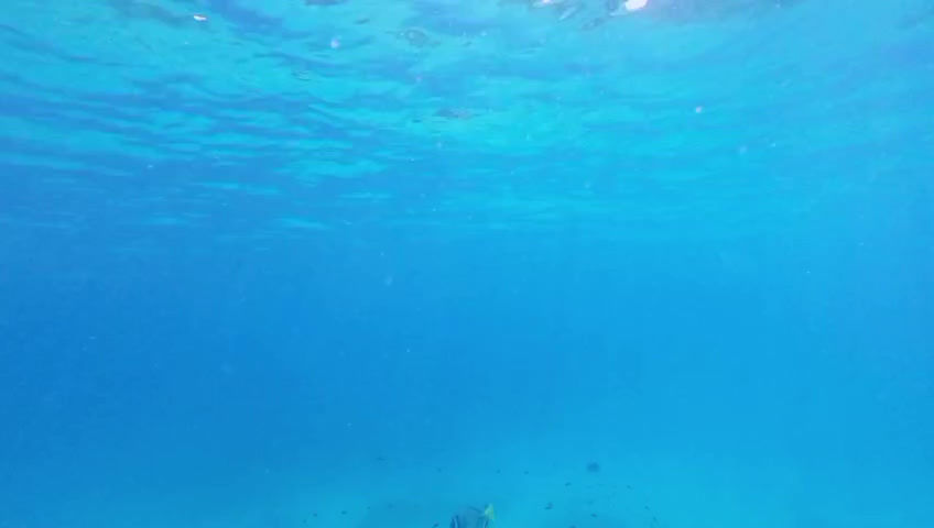 WhatsApp Video 2026-09-04 at 5.47.51 PM.mp4