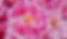 20220524_181525_edited.jpg