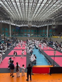 torneo regional taekwondo viña del mar