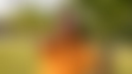 Helena Macario es nombrada Coordinadora Nacional de Proyectos.