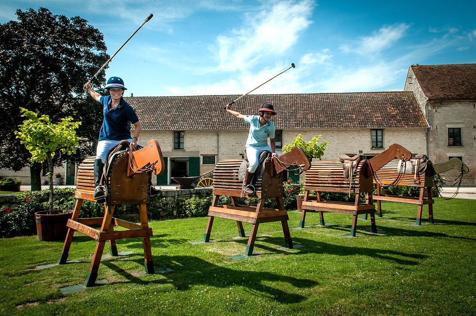 CHEVAL DE BOIS COUR-2