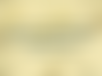 TOP FINANCIAL QUESTIONS EVERY NONPROFIT LEADER MUST ANSWER