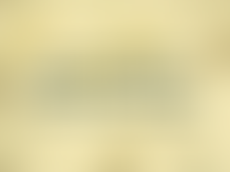 Understanding the Mission-Driven vs. Profit-Driven Model