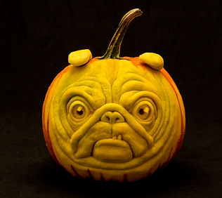 pugaloo