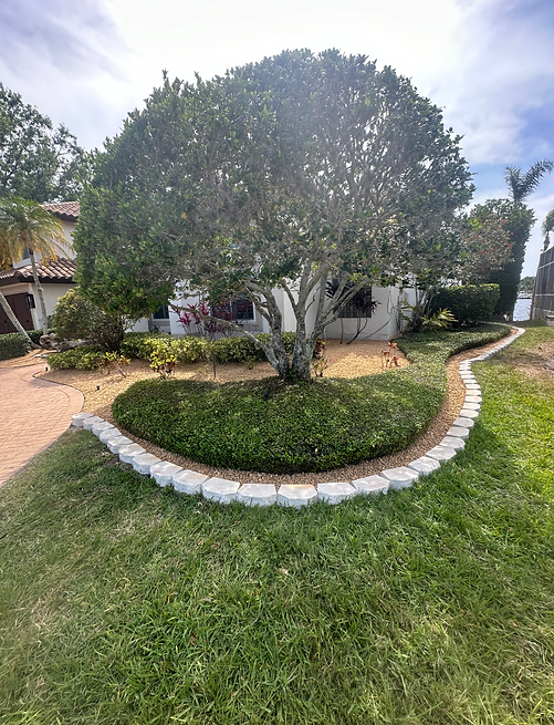 Rock-installation-town-n-country-fl-client-ernesto.HEIC