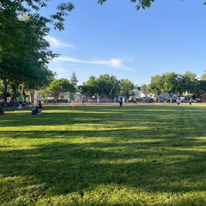 Colonial Park Committee 2025 Accomplishments