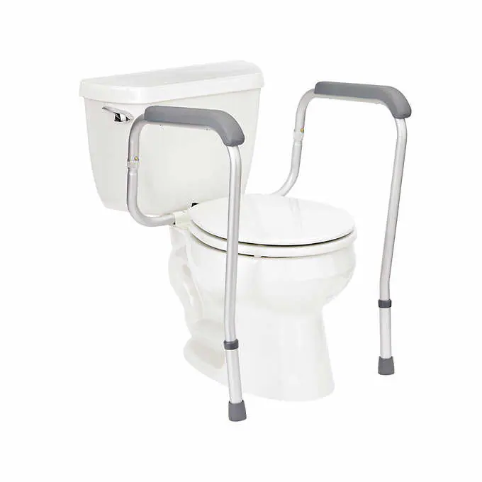 Guardian Toilet Safety Frame Mobility Equipment