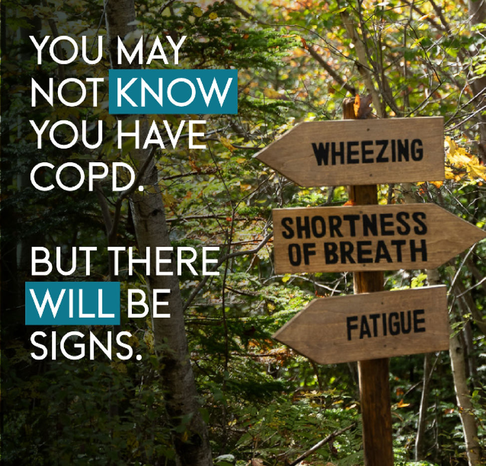 SIGNS web image-01.jpg