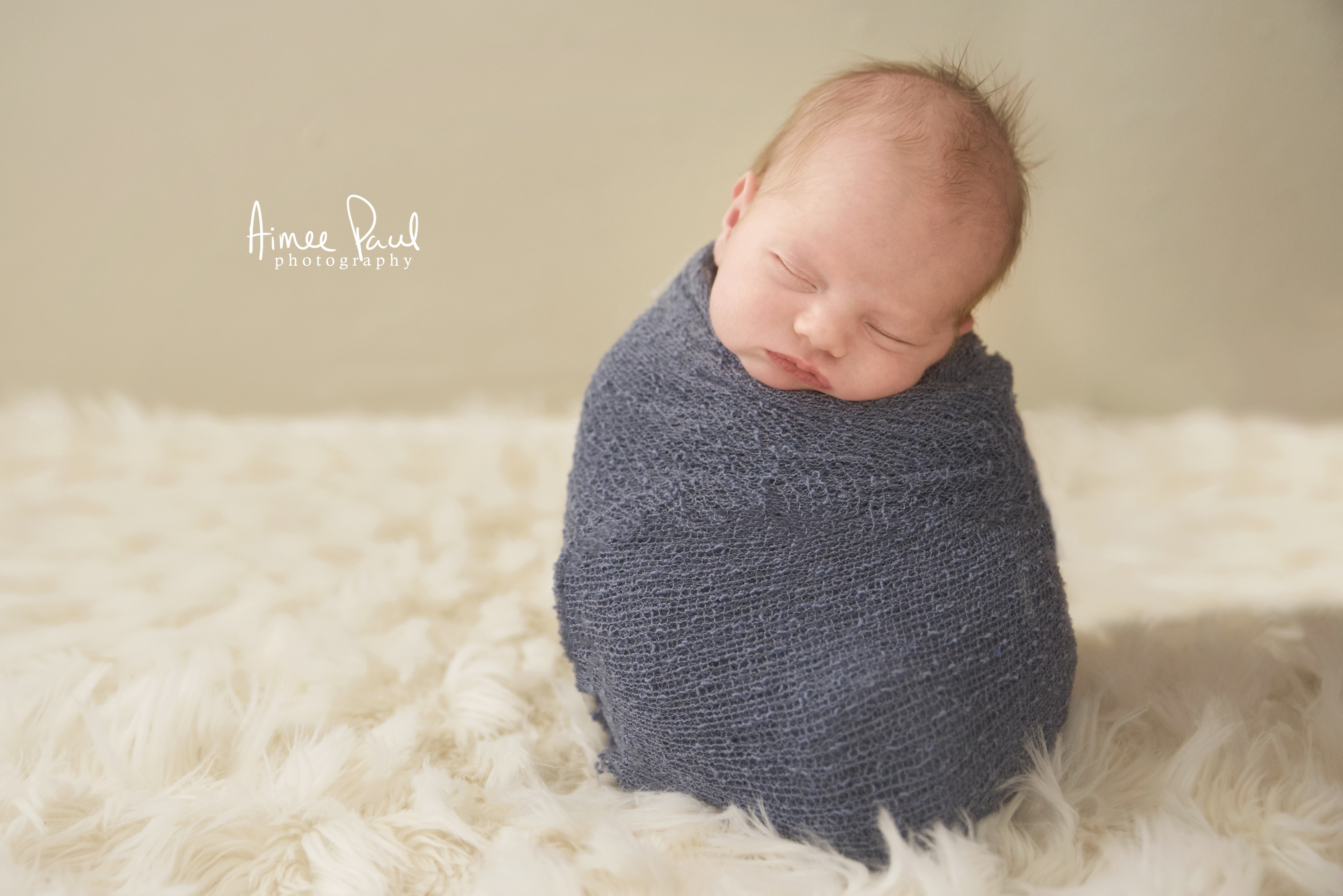 Arlo