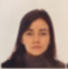 passport_photo_sizes.gif