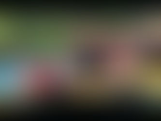 Umami Hibachi chef providing a backyard hibachi party for a private event in Monroe CT