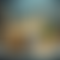 Albaraka Portföy Yönetimi ile Yatırım Yapmanın Avantajları