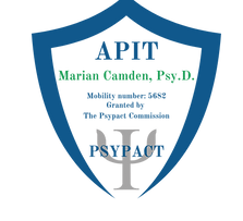 APIT Logo for website.png