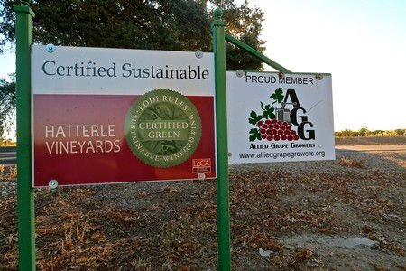 Hatterle Vineyards, certified by LODI RULES for Sustainable Winegrowing.