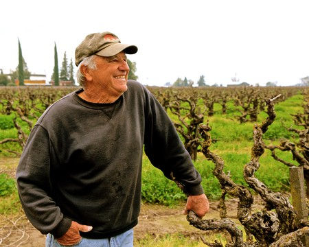 Maley Bros.'s Joe Maley, whose family has been farming in Lodi since the late 1860s, in the landmark west-side growth, Wegat Vineyard.