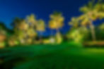 Garden-1280-11