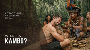 What is Kambo?