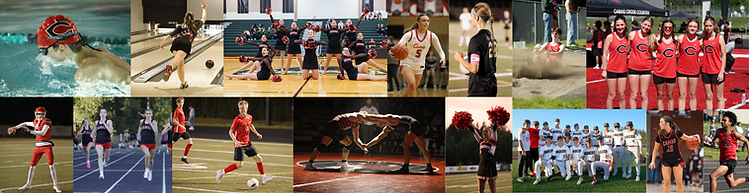 Sports in action (36 x 8 in) (1).png